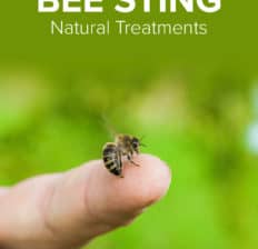 Bee sting treatment - Dr. Axe