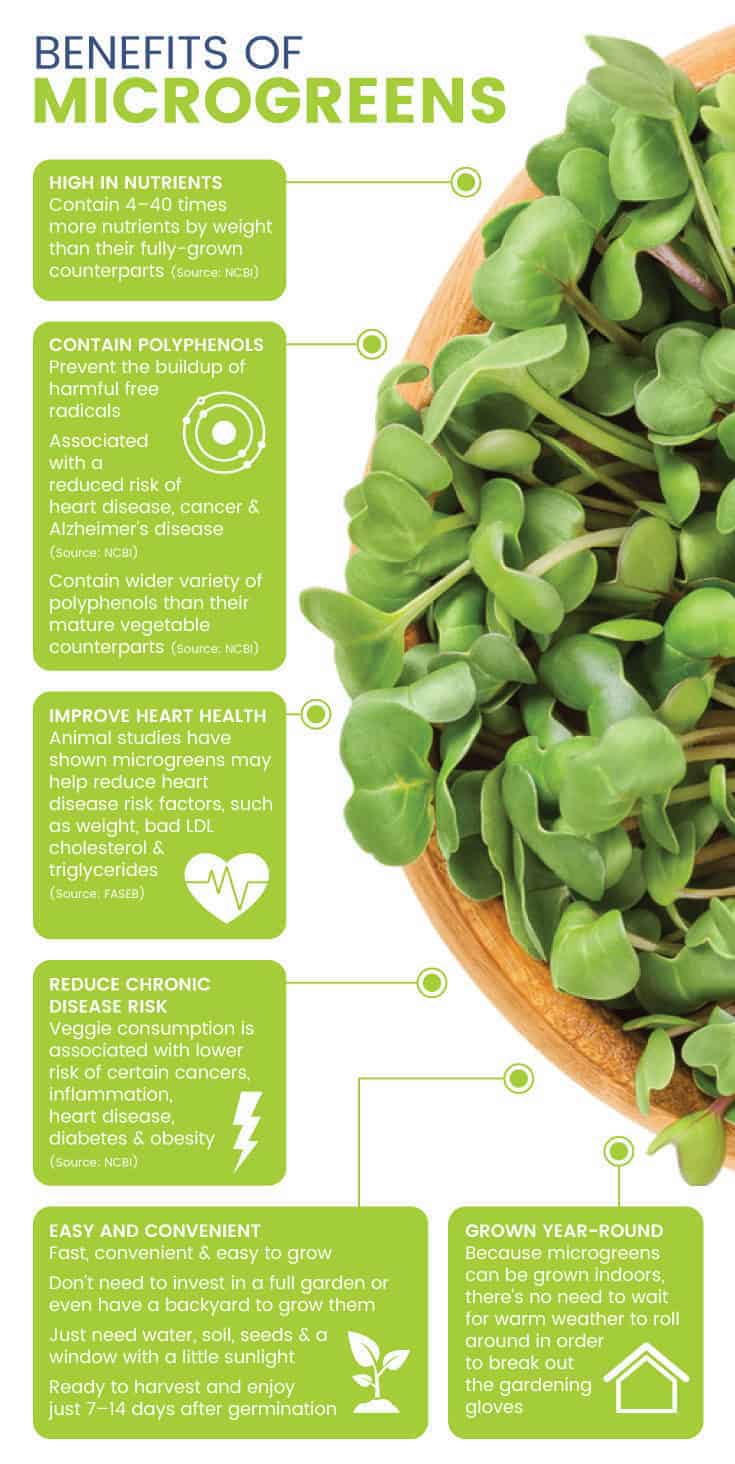 Benefits of microgreens - Dr. Axe